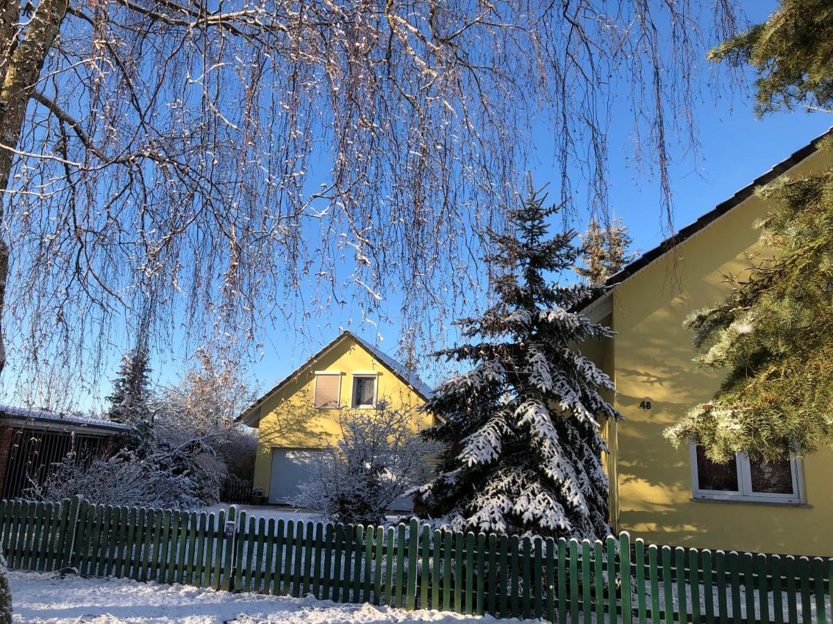 Fewo Auszeit Schwanow Rheinsberg Exteriör bild